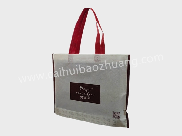 彩匯包裝 山東環(huán)保手提袋  手提袋廠(chǎng)家